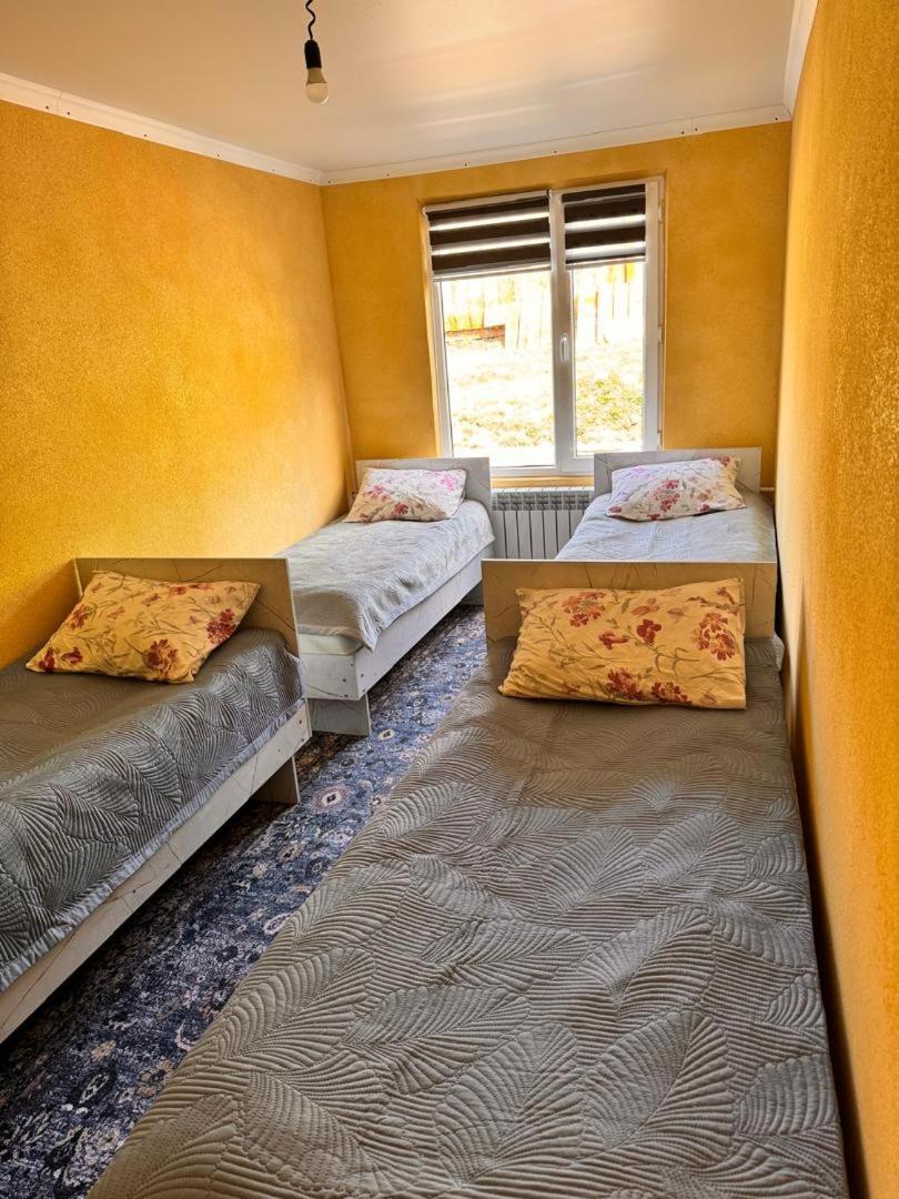 Ala-Kul Guesthouse In Altyn-Arashan Karakol Exterior foto